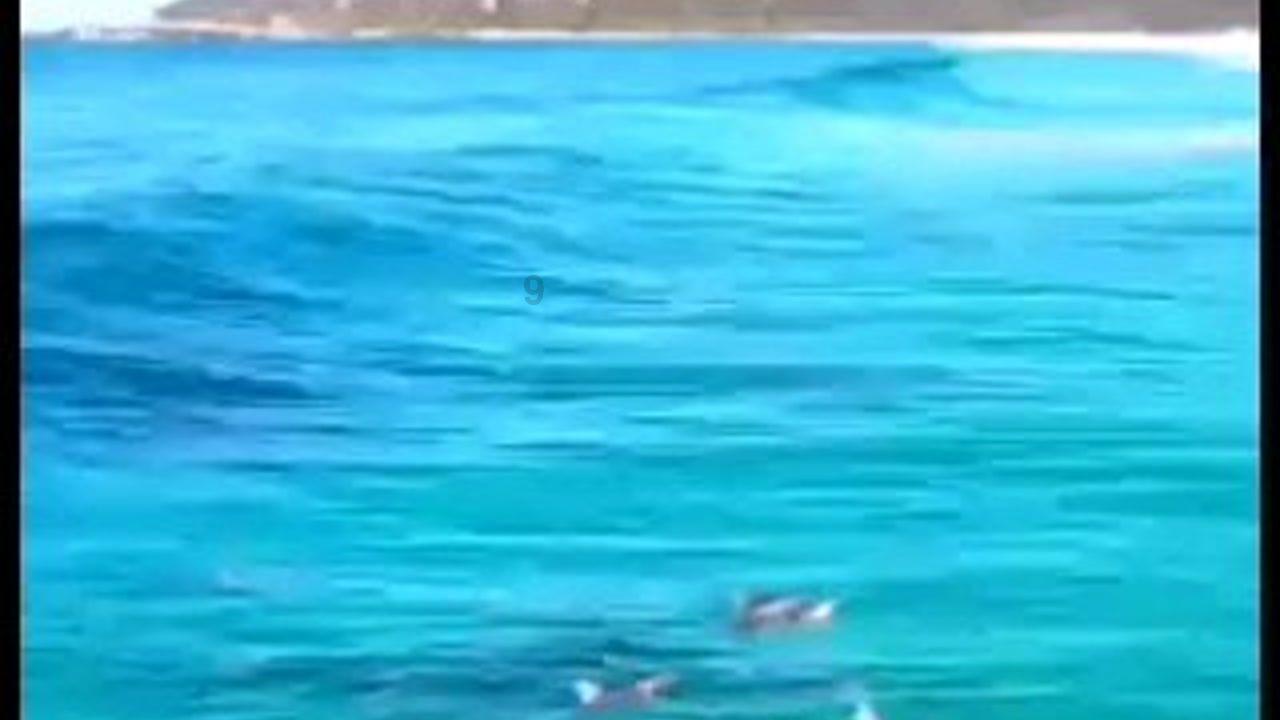 逃离豪宅大厦3